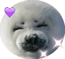 sealhappy