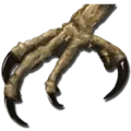 Argentavis_Talon