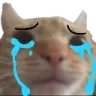 crycat crycat