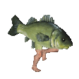 fishrunning