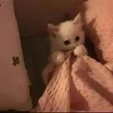 scary