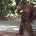 emoji_28 custom emote - 3rbjh community