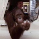 emoji_29 Discord Emoji from 3rbjh community