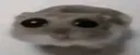 oh