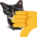 FH_Cat_Thumb_Down