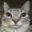 PFP_CATA