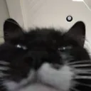849