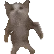 CATTING