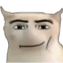 FH_Cat_Roblox