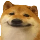 FH_Doggy