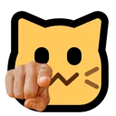 neocat_forwards_point