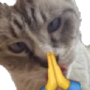 mimi_pray