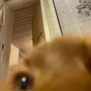 yougotgamesonyourphone yougotgamesonyourphone