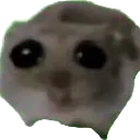 sad_hamster