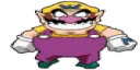 wariowalk