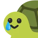 1050cecsmilingturtlewithtear