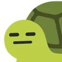 4972ceaexpressionlessturtle