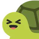 5335cehlaughingturtle