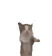 cat_happy