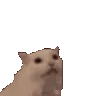 cat_loved