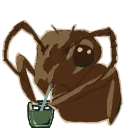 Mayant_20240223084603 Discord Emoji