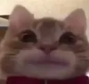 782145642868768779