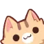 Gato_Hey