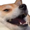 ModAviKEKW