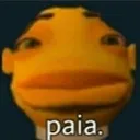 paia