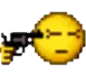 L_kms L_kms