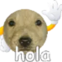 Hola_Potaxio