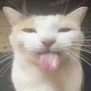 silly