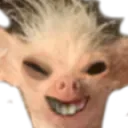 XDX