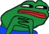 SUS