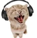 2funkycat