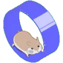 purplebeigehamster