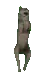 wolfi