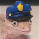 gecko_policeq