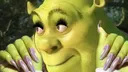 girlllll_shrek