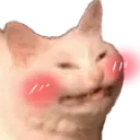 emoji_79