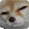 sus