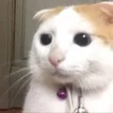 lantheboi