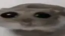oh