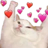 catlove