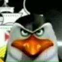 CEU_fofoo