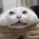 Ghhhuhyhgh Ghhhuhyhgh