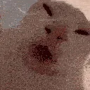 LIZUN