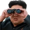kimjonglunettes