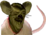 :risistasrat: risistasrat