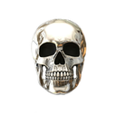 chrome_skull Discord emoji